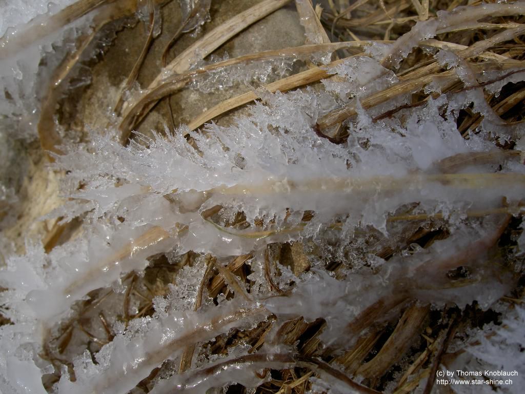 Ice crystalls on blade of grass
