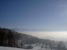 Sea of fog above oberer Zürichsee